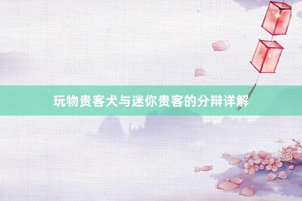 玩物贵客犬与迷你贵客的分辩详解
