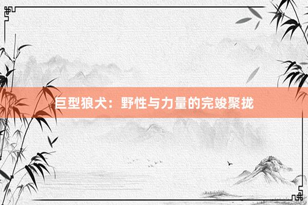巨型狼犬：野性与力量的完竣聚拢