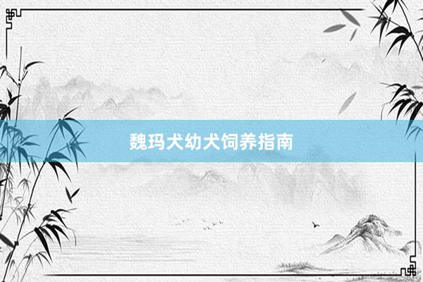 魏玛犬幼犬饲养指南
